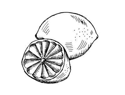 Иллюстрация к книге — Великолепная Прага. Город золотого волшебства [img_47.jpg]