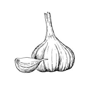 Иллюстрация к книге — Великолепная Прага. Город золотого волшебства [img_62.jpg]