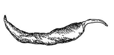 Иллюстрация к книге — Великолепная Прага. Город золотого волшебства [img_76.jpg]