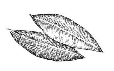 Иллюстрация к книге — Великолепная Прага. Город золотого волшебства [img_79.jpg]