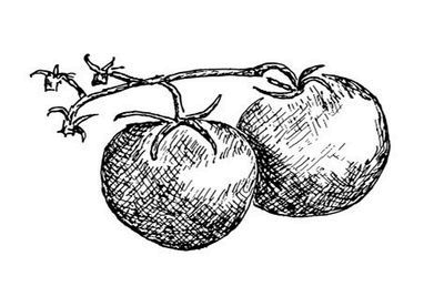 Иллюстрация к книге — Великолепная Прага. Город золотого волшебства [img_82.jpg]