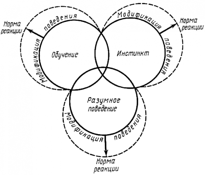 Иллюстрация к книге — «Павловизация» дрессировки и мифология инстинкта [i_003.jpg]
