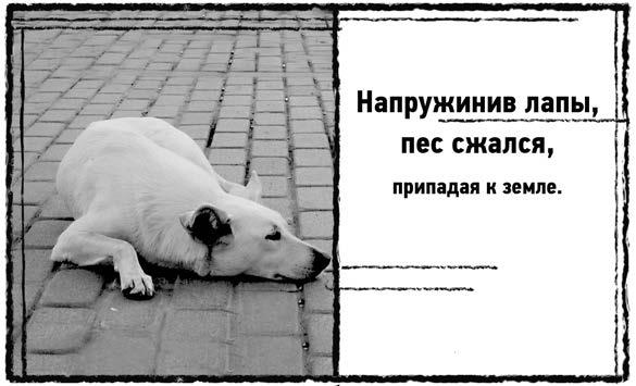 Иллюстрация к книге — Праздник Святой Смерти [i_004.jpg]