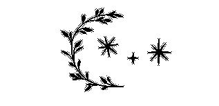 Иллюстрация к книге — Сестра звёзд [i_026.jpg]