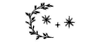 Иллюстрация к книге — Сестра звёзд [i_038.jpg]