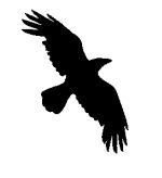 Иллюстрация к книге — Проклятый единорог [i_001.jpg]