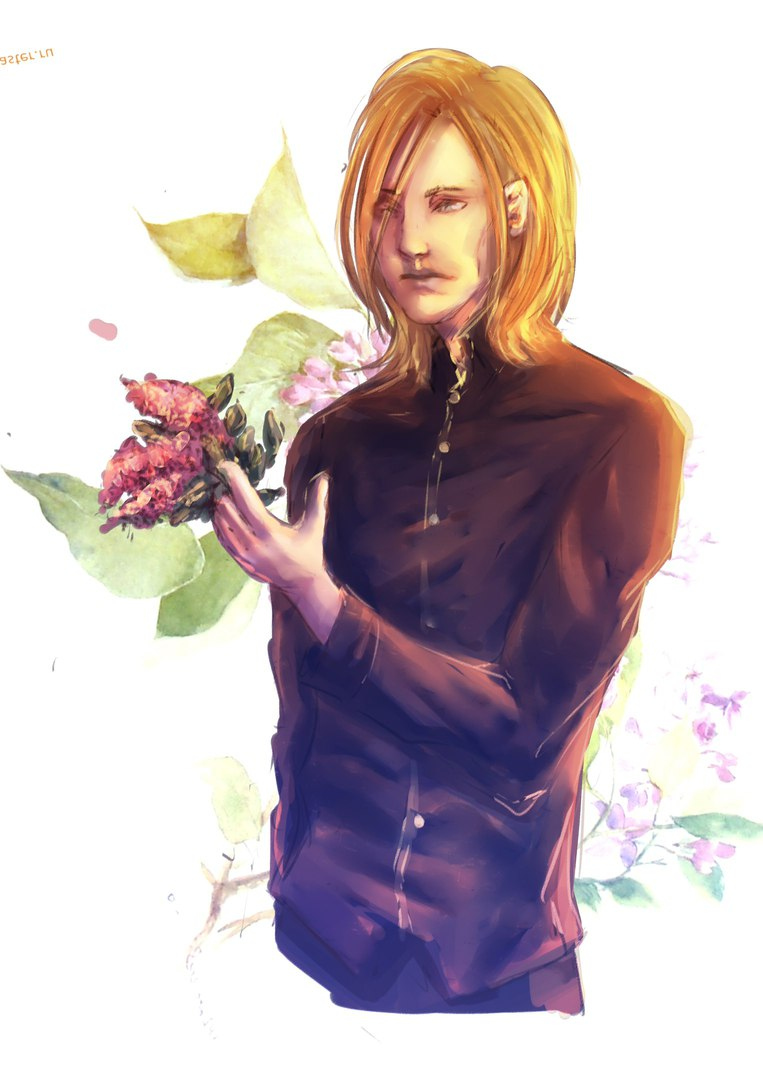 Иллюстрация к книге — Легенда о Светлом Клане [_0.jpg]