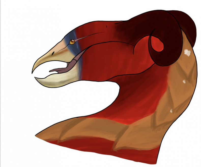 Иллюстрация к книге — Легенда о Светлом Клане [_26.jpg]