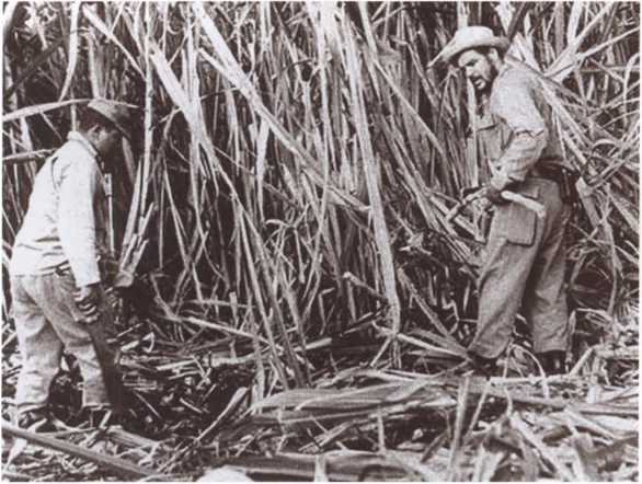 Иллюстрация к книге — Че Гевара [i_040.jpg]