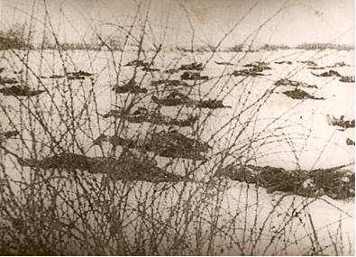 Иллюстрация к книге — Снайпер-инструктор [_3.jpg]