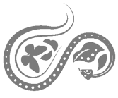 Иллюстрация к книге — Вспышка [i_007.jpg]