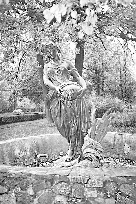 Иллюстрация к книге — Царское Село. Знакомое и незнакомое [i_031.jpg]