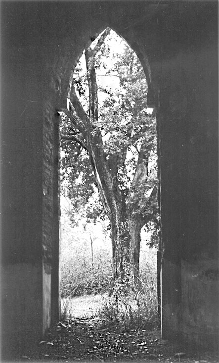 Иллюстрация к книге — Царское Село. Знакомое и незнакомое [i_068.jpg]