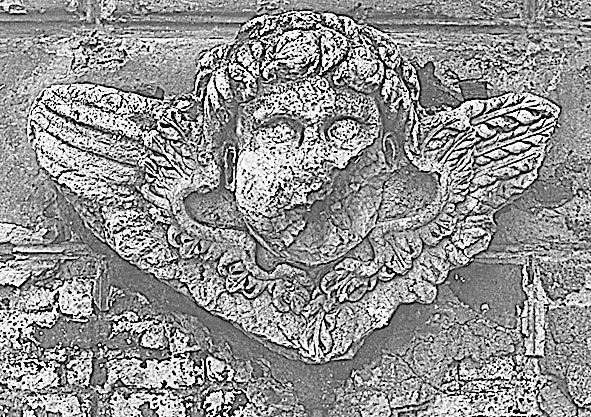 Иллюстрация к книге — Царское Село. Знакомое и незнакомое [i_083.jpg]