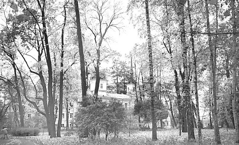 Иллюстрация к книге — Царское Село. Знакомое и незнакомое [i_106.jpg]