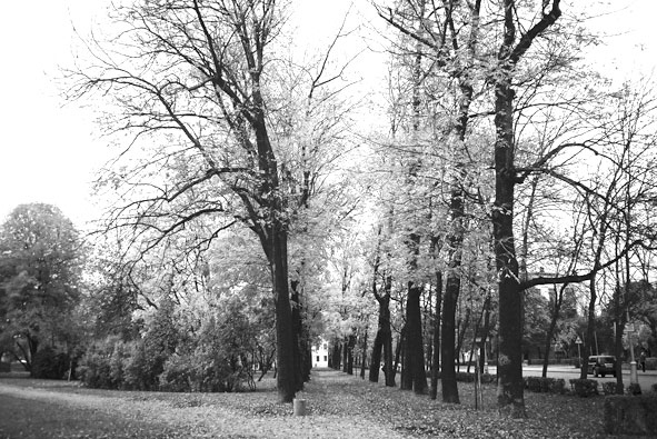 Иллюстрация к книге — Царское Село. Знакомое и незнакомое [i_158.jpg]