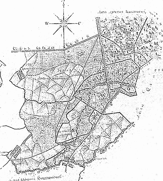 Иллюстрация к книге — Царское Село. Знакомое и незнакомое [i_314.jpg]