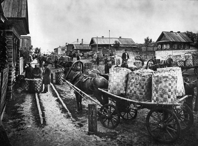 Иллюстрация к книге — Нам нужна великая Россия [i_064.jpg]