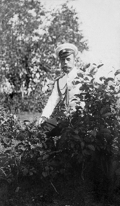 Иллюстрация к книге — Нам нужна великая Россия [i_362.jpg]