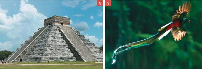 Иллюстрация к книге — Как работает музыка [i_016.jpg]