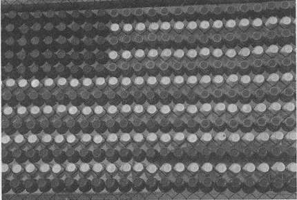 Иллюстрация к книге — Весь мир: Записки велосипедиста [i_013.jpg]