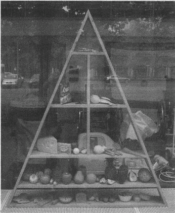 Иллюстрация к книге — Весь мир: Записки велосипедиста [i_026.jpg]