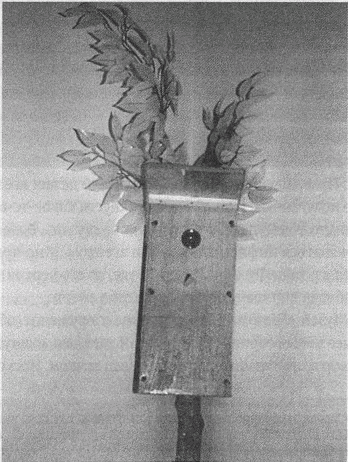 Иллюстрация к книге — Весь мир: Записки велосипедиста [i_028.jpg]