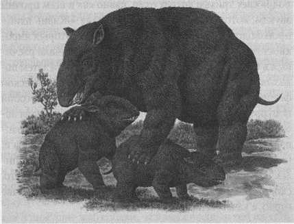 Иллюстрация к книге — Весь мир: Записки велосипедиста [i_064.jpg]