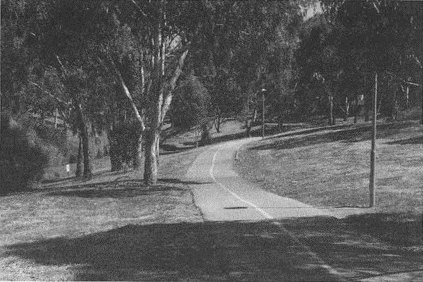 Иллюстрация к книге — Весь мир: Записки велосипедиста [i_065.jpg]