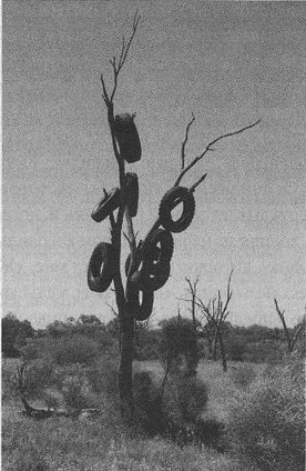 Иллюстрация к книге — Весь мир: Записки велосипедиста [i_069.jpg]