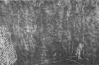 Иллюстрация к книге — Весь мир: Записки велосипедиста [i_070.jpg]