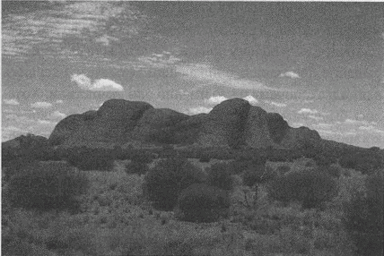 Иллюстрация к книге — Весь мир: Записки велосипедиста [i_071.jpg]