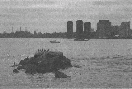 Иллюстрация к книге — Весь мир: Записки велосипедиста [i_092.jpg]