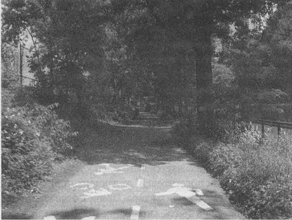 Иллюстрация к книге — Весь мир: Записки велосипедиста [i_093.jpg]