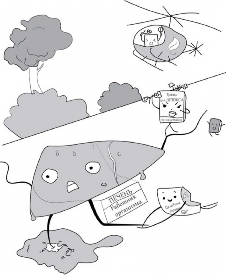 Иллюстрация к книге — На ошибках учатся. Как не попасть в ловушку медицинских мифов [i_014.jpg]