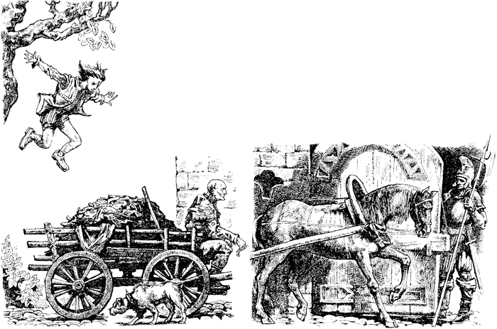 Иллюстрация к книге — Всё о волшебной стране Тилоаре [i_007.jpg]