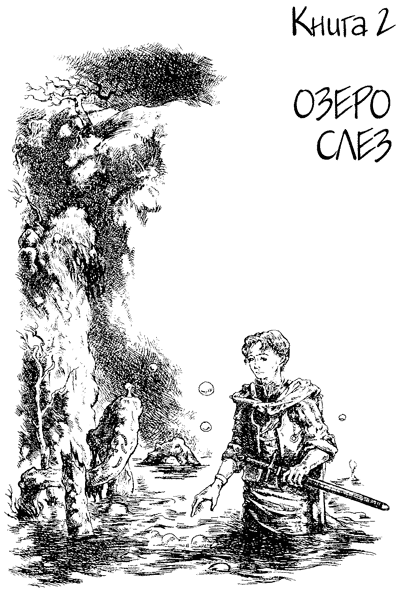 Иллюстрация к книге — Всё о волшебной стране Тилоаре [i_020.jpg]