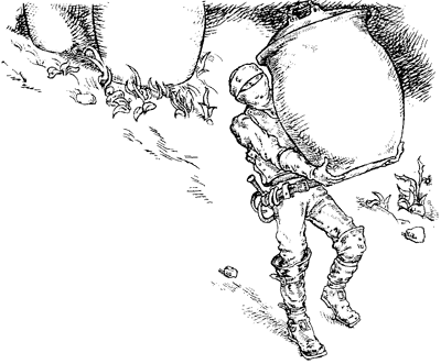 Иллюстрация к книге — Всё о волшебной стране Тилоаре [i_056.jpg]