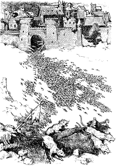 Иллюстрация к книге — Всё о волшебной стране Тилоаре [i_058.jpg]