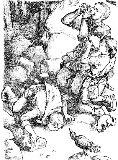 Иллюстрация к книге — Всё о волшебной стране Тилоаре [i_081.jpg]