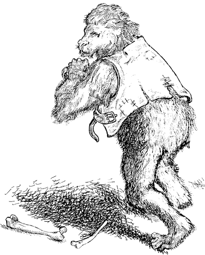 Иллюстрация к книге — Всё о волшебной стране Тилоаре [i_115.jpg]