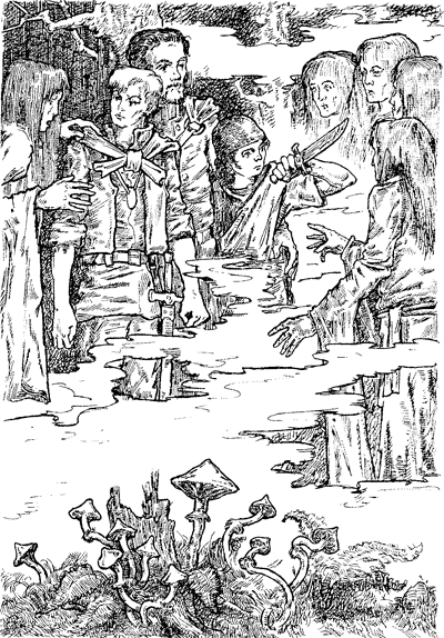 Иллюстрация к книге — Всё о волшебной стране Тилоаре [i_127.jpg]