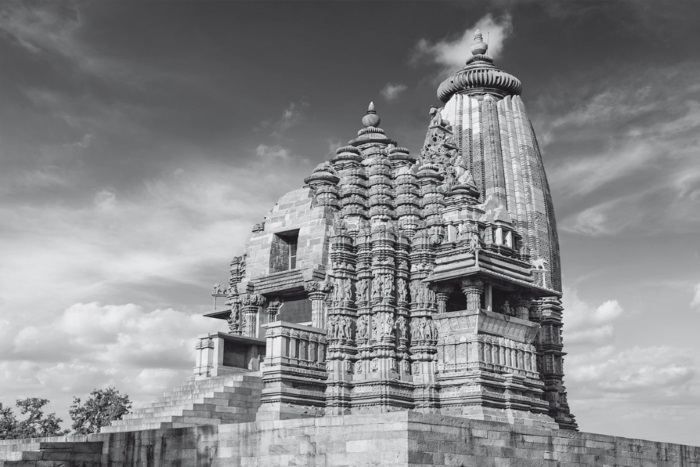 Иллюстрация к книге — «Главный» мужской орган. Медицинские исследования, исторические факты и забавные культурные феномены [i_017.jpg]