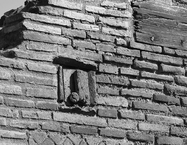 Иллюстрация к книге — «Главный» мужской орган. Медицинские исследования, исторические факты и забавные культурные феномены [i_021.jpg]