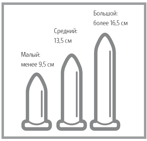 Иллюстрация к книге — «Главный» мужской орган. Медицинские исследования, исторические факты и забавные культурные феномены [i_025.jpg]