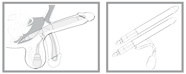 Иллюстрация к книге — «Главный» мужской орган. Медицинские исследования, исторические факты и забавные культурные феномены [i_055.jpg]