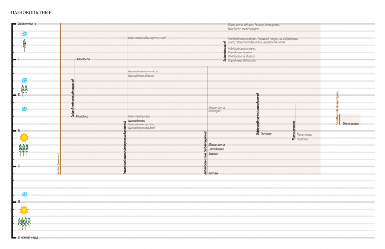Иллюстрация к книге — Палеонтология антрополога. Иллюстрированный путеводитель в зверинец прошлого [i_003.jpg]
