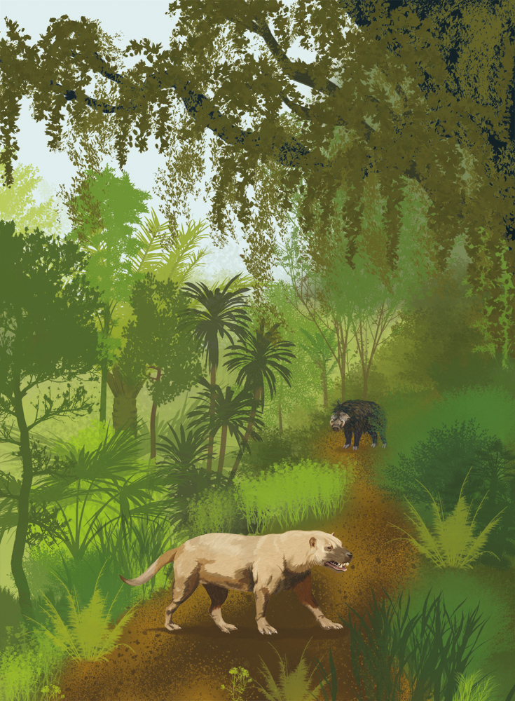 Иллюстрация к книге — Палеонтология антрополога. Иллюстрированный путеводитель в зверинец прошлого [i_008.jpg]