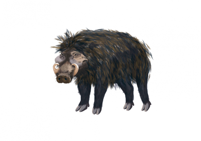 Иллюстрация к книге — Палеонтология антрополога. Иллюстрированный путеводитель в зверинец прошлого [i_014.jpg]