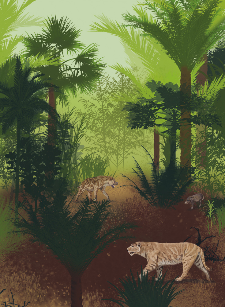 Иллюстрация к книге — Палеонтология антрополога. Иллюстрированный путеводитель в зверинец прошлого [i_021.jpg]